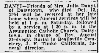 Julia Danyi obit